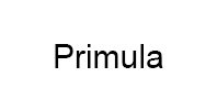 Ремонт кофемашины модели Primula в Красногорске Ремонт кофемашин Primula